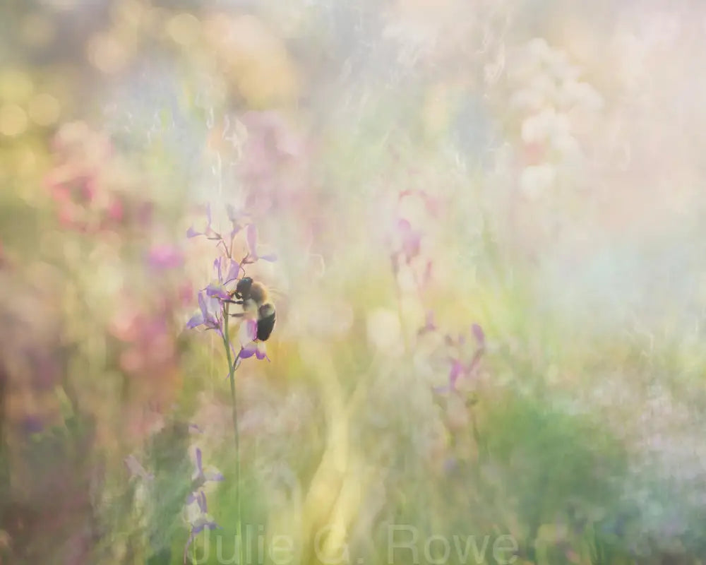 Garden Light