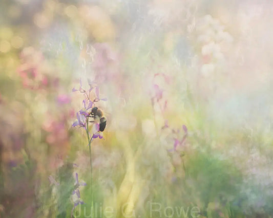 Garden Light