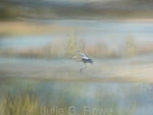 Great Blue